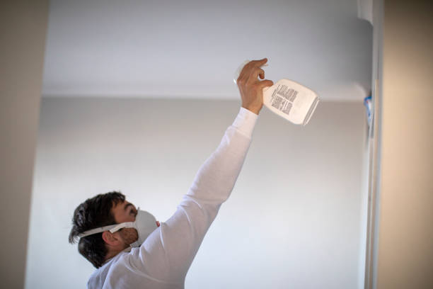Best Certified Mold Removal  in Montura, FL