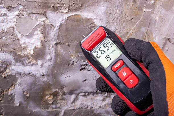 Best Attic Mold Removal  in Montura, FL